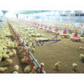 Leon Series Automatic poultry pan feeding system for broilers